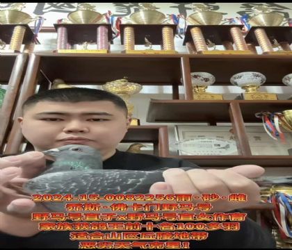 ٱѪ˹.TҰRֱ̖XֱŮH