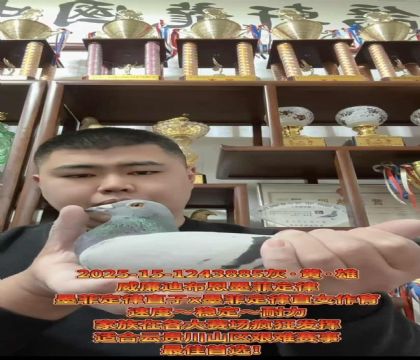 ϲīƶɡֱXīƶɡֱŮ