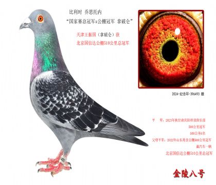 7r ˼Ѓ(ni)ِ܊x܊ Ɓ