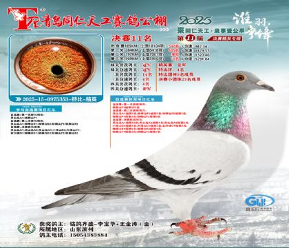 uͬ칤Qِ11Ӣِ܊رȭh(hun)4