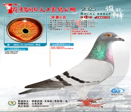 uͬ칤Qِ6رȭh(hun)܊