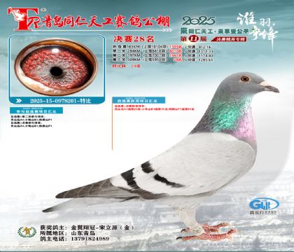 uͬ칤Qِ28رȭh(hun)10