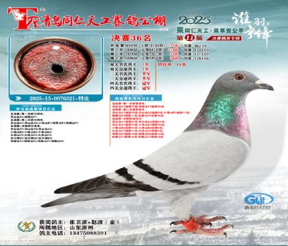 青島同仁天工決賽36名(三關(guān)鴿王季軍)