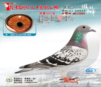 青岛同仁天工决赛404名