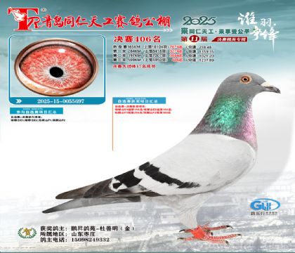 青岛同仁天工决赛406名