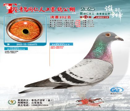 青岛同仁天工决赛402名