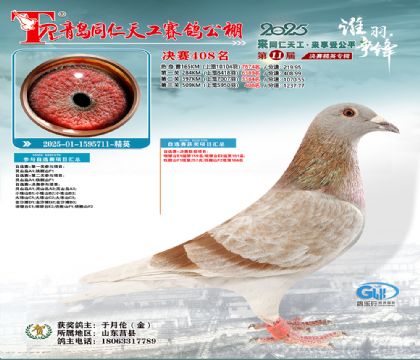 青岛同仁天工决赛408名