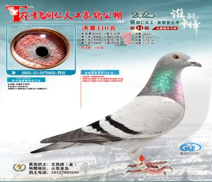 青岛同仁天工决赛410名