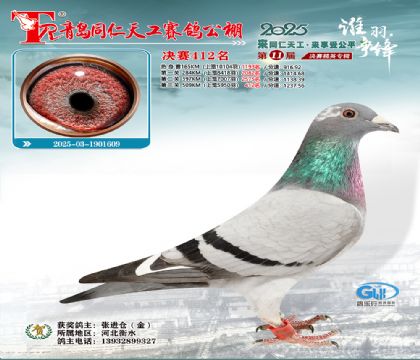 青岛同仁天工决赛412名