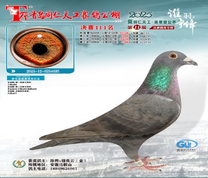 青岛同仁天工决赛414名