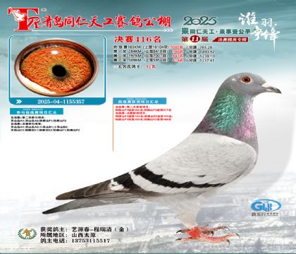 青岛同仁天工决赛416名