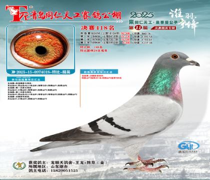 青岛同仁天工决赛418名