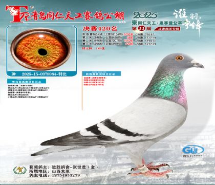 青岛同仁天工决赛420名