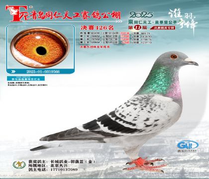 青岛同仁天工决赛426名