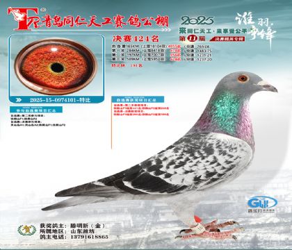 青岛同仁天工决赛424名