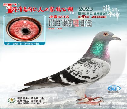 青岛同仁天工决赛430名