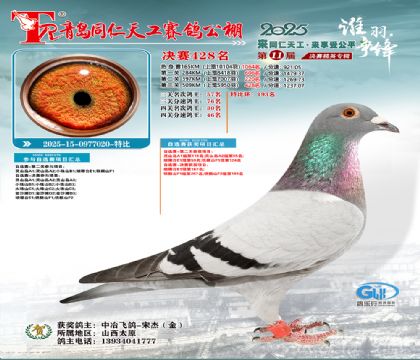 青岛同仁天工决赛428名