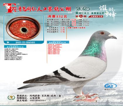 青岛同仁天工决赛432名