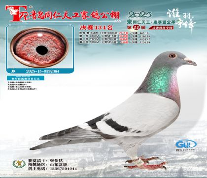 青岛同仁天工决赛434名