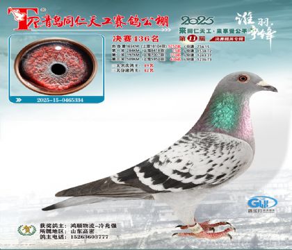 青岛同仁天工决赛436名