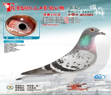 青岛同仁天工决赛438名