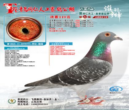 青岛同仁天工决赛440名