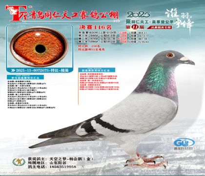 青岛同仁天工决赛446名