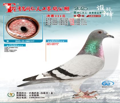 青岛同仁天工决赛444名