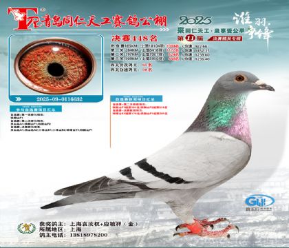 青岛同仁天工决赛448名