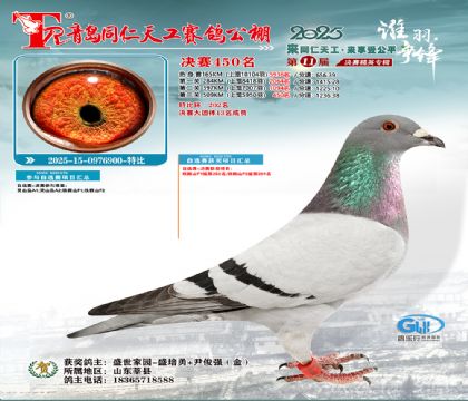 青岛同仁天工决赛450名