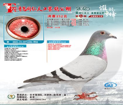 青岛同仁天工决赛452名