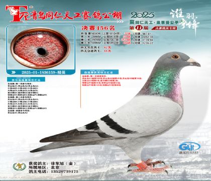 青岛同仁天工决赛456名