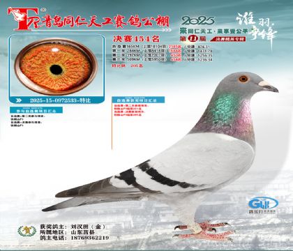 青岛同仁天工决赛454名