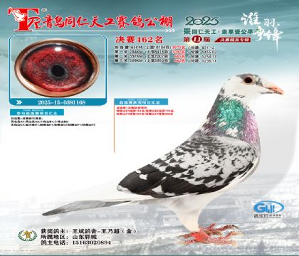 青岛同仁天工决赛462名