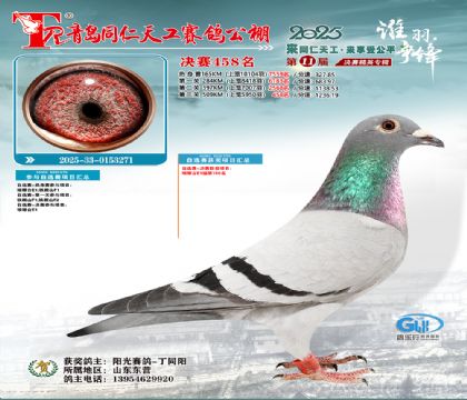 青岛同仁天工决赛458名