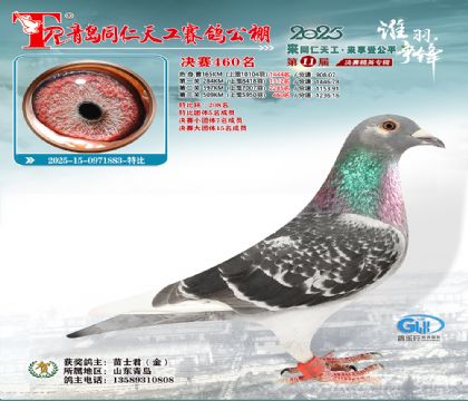 青岛同仁天工决赛460名