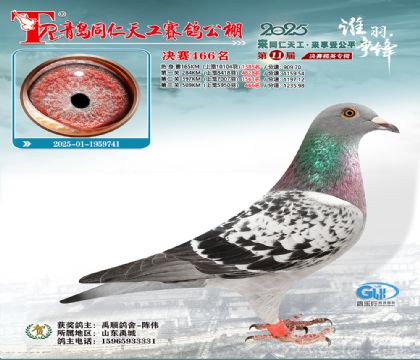 青岛同仁天工决赛466名