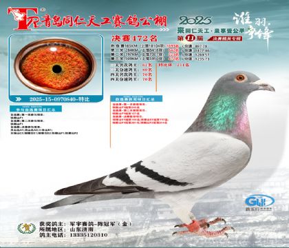 青岛同仁天工决赛472名