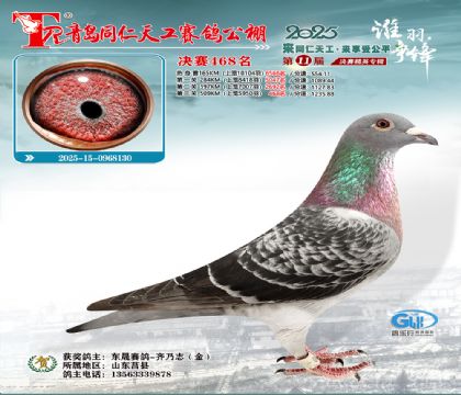 青岛同仁天工决赛468名