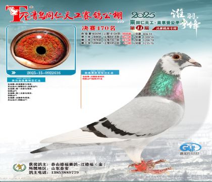 青岛同仁天工决赛470名