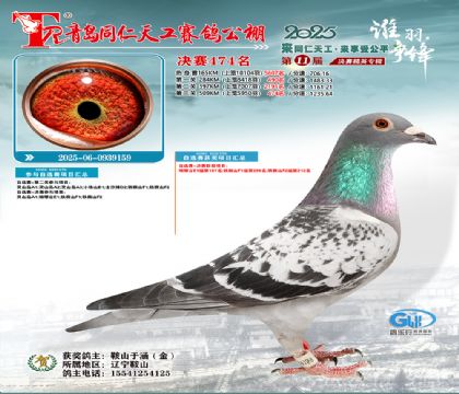 青岛同仁天工决赛474名