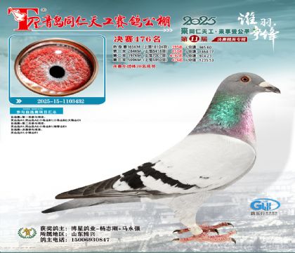 青岛同仁天工决赛476名