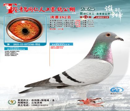 青岛同仁天工决赛482名