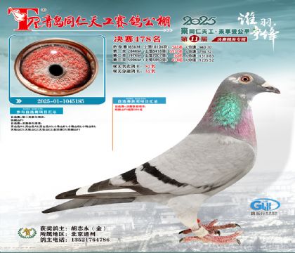 青岛同仁天工决赛478名