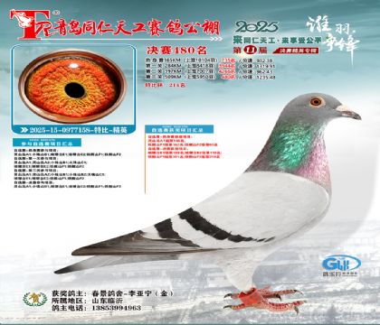 青岛同仁天工决赛480名