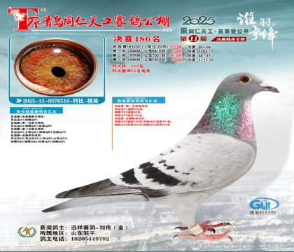 青岛同仁天工决赛486名