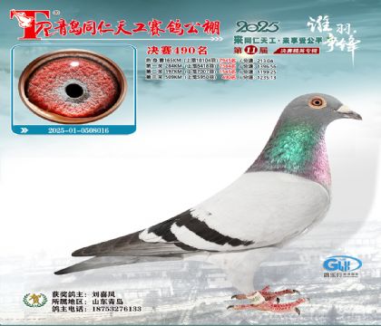 青岛同仁天工决赛490名