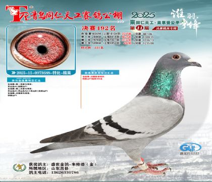 青岛同仁天工决赛492名