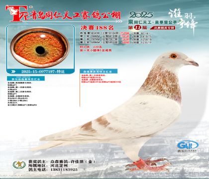 青岛同仁天工决赛488名