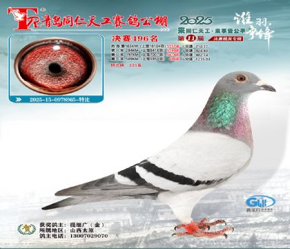 青岛同仁天工决赛496名